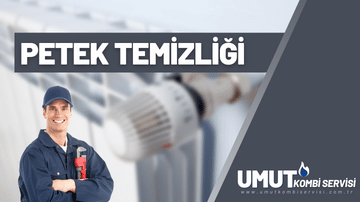 PETEK TEMİZLEME